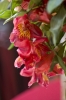 Thumbnail of 24405570244_1c6002860f_o.jpg
