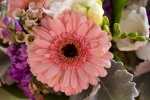 Thumbnail of 24942885791_f776736ce8_o.jpg