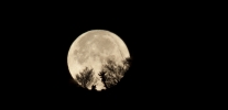 Thumbnail of 23597093639_6500c6aaf9_o.jpg