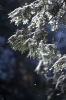 Thumbnail of _MG_7756.jpg