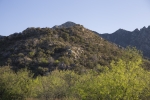 Thumbnail of _MG_9251.jpg