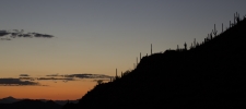 Thumbnail of _MG_9789.jpg