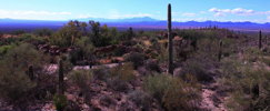 Thumbnail of overlook.jpg