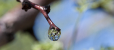 Thumbnail of droplet.jpg