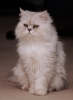 Thumbnail of Rudy_in_doorway.jpg