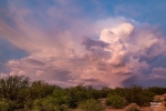 Thumbnail of Storm20170721_Backyard.jpg