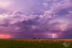 Thumbnail of _IZ_6603.jpg