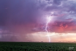 Thumbnail of _MG_0100.jpg