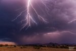 Thumbnail of _MG_2856.jpg