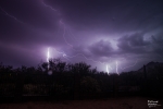 Thumbnail of _MG_4679.jpg