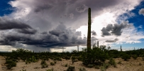 Thumbnail of _MG_7121-Pano.jpg