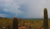 Thumbnail of lightning_day.jpg